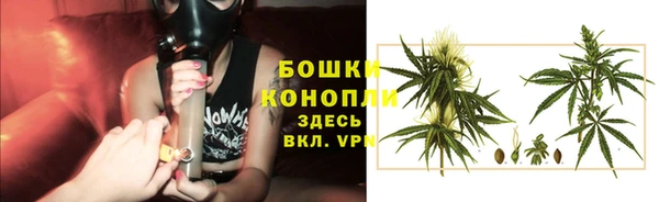 прущая мука Бородино