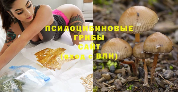 соль ск Бронницы