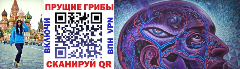 Псилоцибиновые грибы Cubensis Ворсма